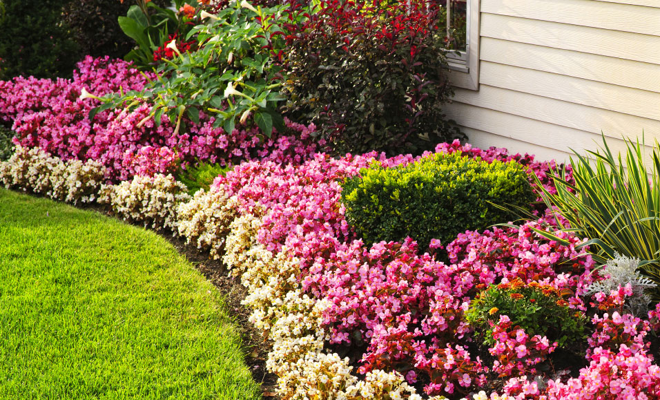 The Benefits of Professional Landscaping Services